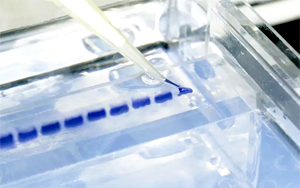 瓊脂糖層析產品：從科研到生產的解決方案