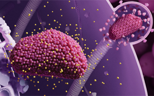 生物醫(yī)藥領(lǐng)跑2024《科學(xué)》十大突破：從艾滋病到CAR-T療法，未來已來