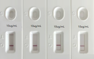 人偏肺病毒（hMPV）抗原檢測(cè)-免疫層析 （膠體金、彩色乳膠及熒光免疫層析）解決方案