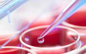 無血清細胞培養(yǎng)基原料大集合