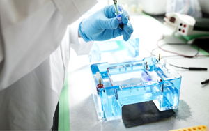 蛋白精工 - 值得信賴的電泳與蛋白純化核心試劑與原料