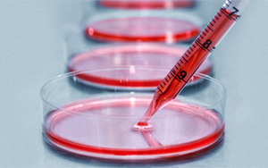 細(xì)胞培養(yǎng)基，撐起生物醫(yī)藥的半壁江山