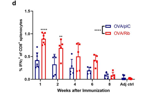 將免疫療法效果提升近3倍！這款進(jìn)入1期臨床的抗癌疫苗，會(huì)是癌癥“終結(jié)者”嗎？