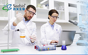 表面活性劑家族，種類齊全 常備現(xiàn)貨