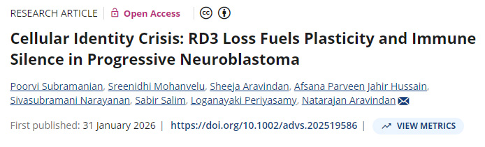 細(xì)胞身份危機(jī)：RD3缺失在進(jìn)展性神經(jīng)母細(xì)胞瘤中助長(zhǎng)可塑性并引發(fā)免疫靜默