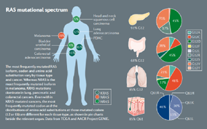Nature子刊：RAS靶向藥物研發(fā)新進(jìn)展