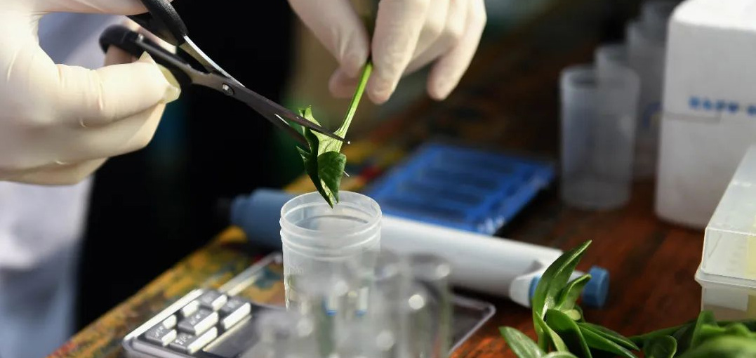 農(nóng)藥殘留檢測(cè)