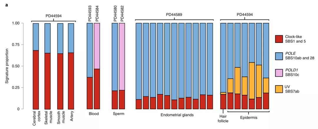 人為什么會得癌癥？《自然》子刊對體細(xì)胞、胚胎、精子測序發(fā)現(xiàn)重要基因！