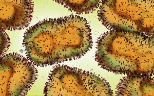 猴痘病毒檢測原料（涵蓋診斷酶、抗原、抗體），西寶生物助力猴痘檢測