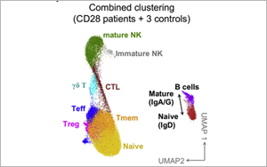 這類人群感染HPV后可能成為“樹人”！Cell揭示CD28缺乏與HPV易感性之間的關(guān)系