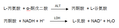 谷丙轉氨酶(ALT)檢測原理 谷丙轉氨酶(ALT)檢測原理