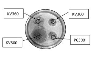 KroVin 500長(zhǎng)效廣譜防霉抗菌劑