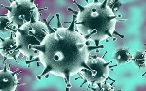 感染318天，體內(nèi)變異40次！COVID-19病例揭示新冠病毒的“超級進化史”