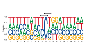 6次入院治療！連漫威英雄“金剛狼”都畏懼的這種癌癥，到底因何而起？