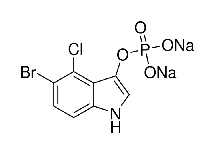 5-溴-4-氯-3-吲哚磷酸二鈉鹽(BCIP-2Na) 5-溴-4-氯-3-吲哚磷酸二鈉鹽(BCIP-2Na)