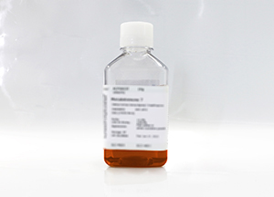 特級胎牛血清(原代細(xì)胞干細(xì)胞專用)