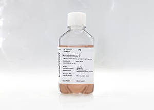 SeeHEK293CD02基礎(chǔ)培養(yǎng)基(液體) SeeHEK293CD02基礎(chǔ)培養(yǎng)基(液體)