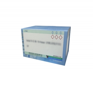 BCA蛋白定量試劑盒